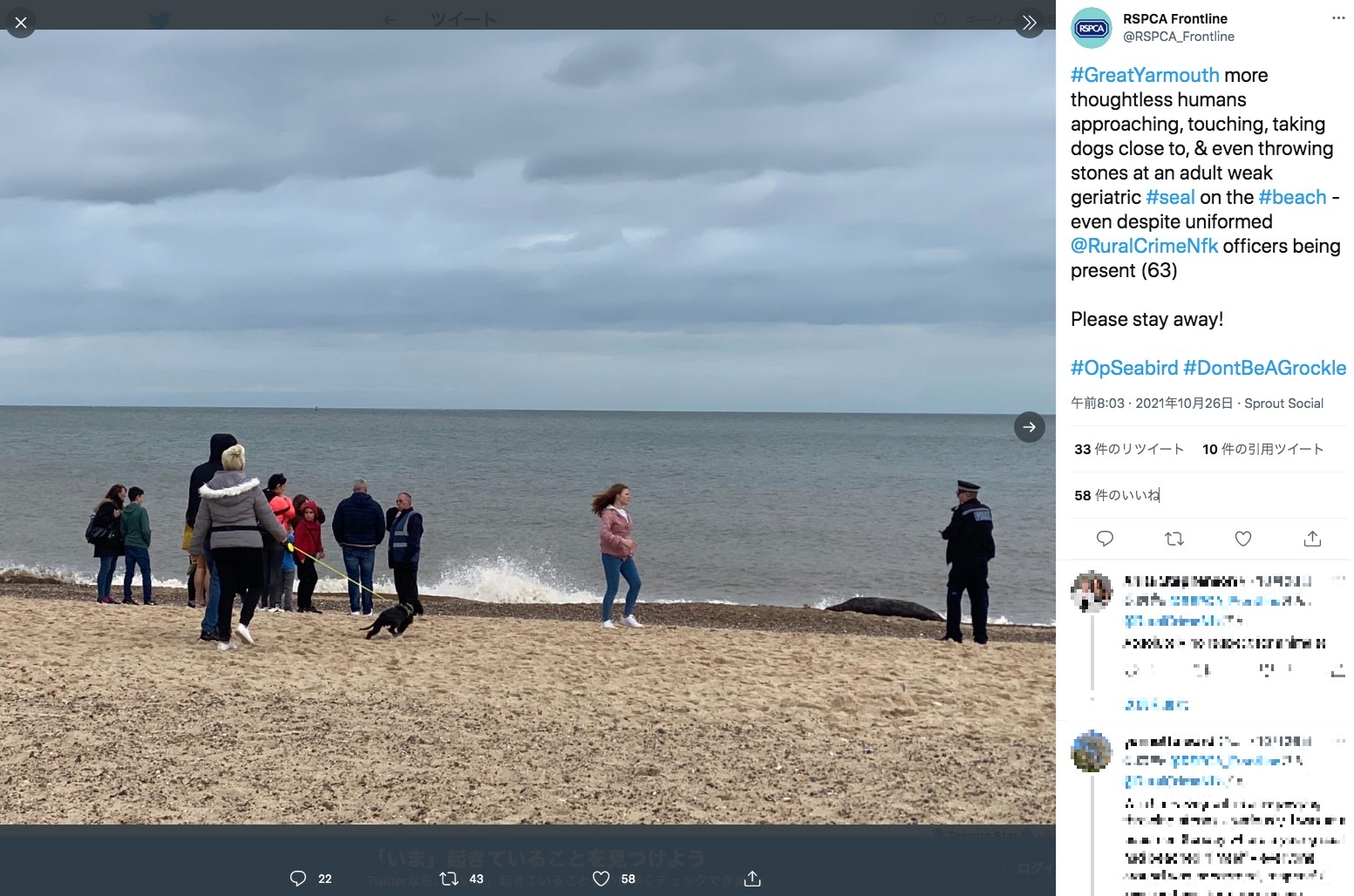 弱っているアザラシに集まる人々（画像は『RSPCA Frontline　2021年10月26日付Twitter「＃GreatYarmouth more thoughtless humans approaching,」』のスクリーンショット）