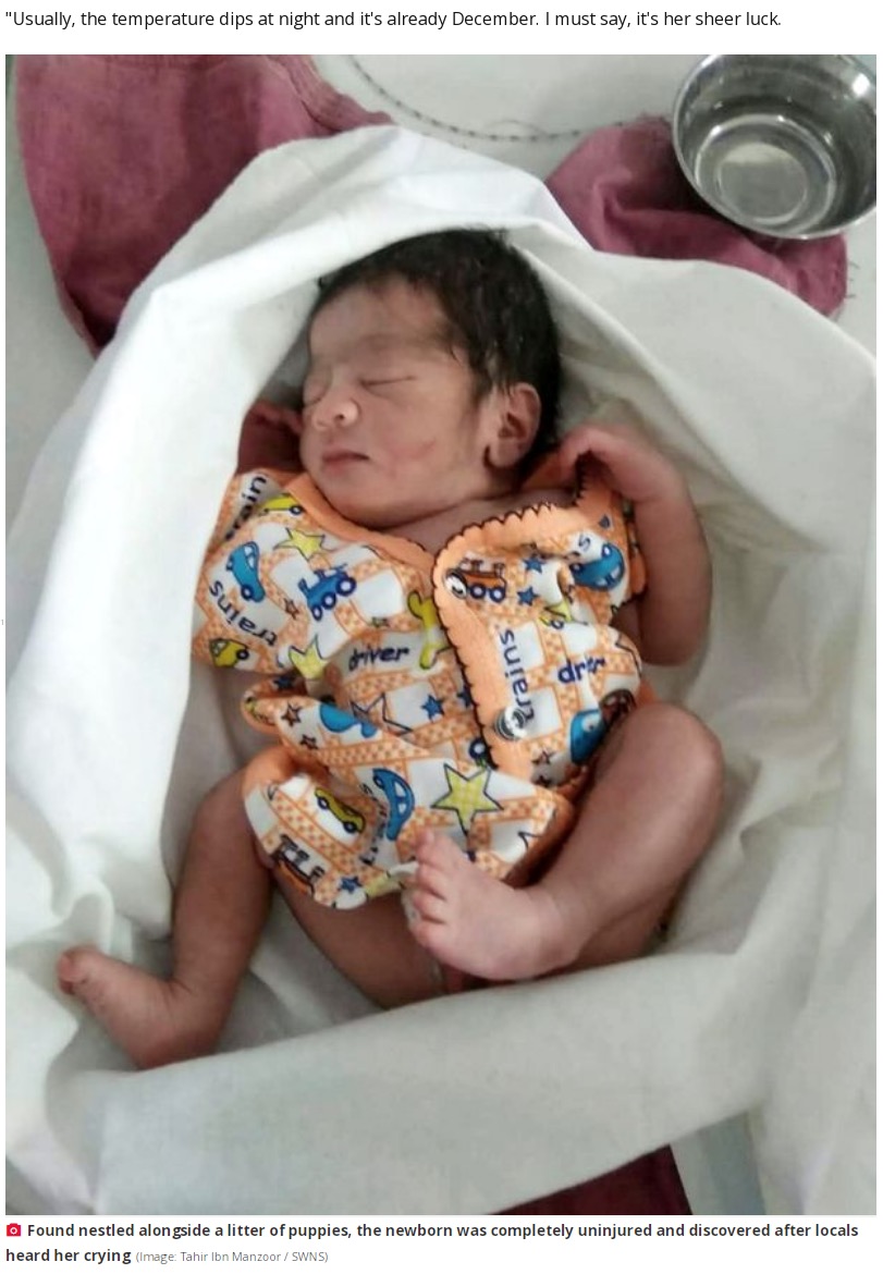 草むらに捨てられていたところを保護された新生児（画像は『The Daily Star　2021年12月22日付「Abandoned newborn baby rescued by litter of puppies that kept her warm through the night」（Image: Tahir Ibn Manzoor / SWNS）』のスクリーンショット）