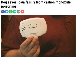 就寝中だったため一酸化炭素検知器のアラームに気付かず（画像は『FOX4KC WDAF-TV　2021年12月20日付「Dog saves Iowa family from carbon monoxide poisoning」』のスクリーンショット）