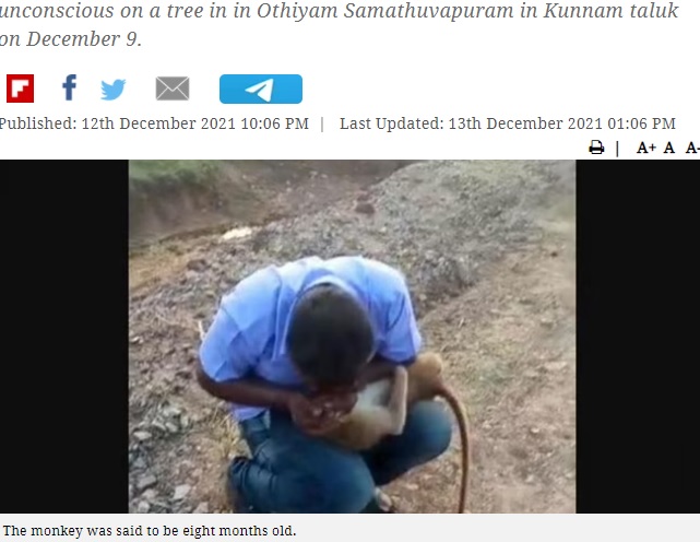サルに人工呼吸をする男性（画像は『The New Indian Express　2021年12月13日付「Tamil Nadu: Perambalur man resuscitates wounded monkey, video goes viral」』のスクリーンショット）