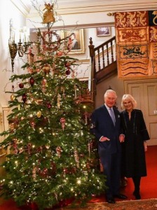 チャールズ皇太子とカミラ夫人、クラレンスハウスのクリスマスツリーの前で（画像は『Clarence House　2021年12月17日付Instagram「This Christmas, The Prince of Wales and The Duchess of Cornwall encourage you to remember your older friends and relatives over the festive season.」』のスクリーンショット）