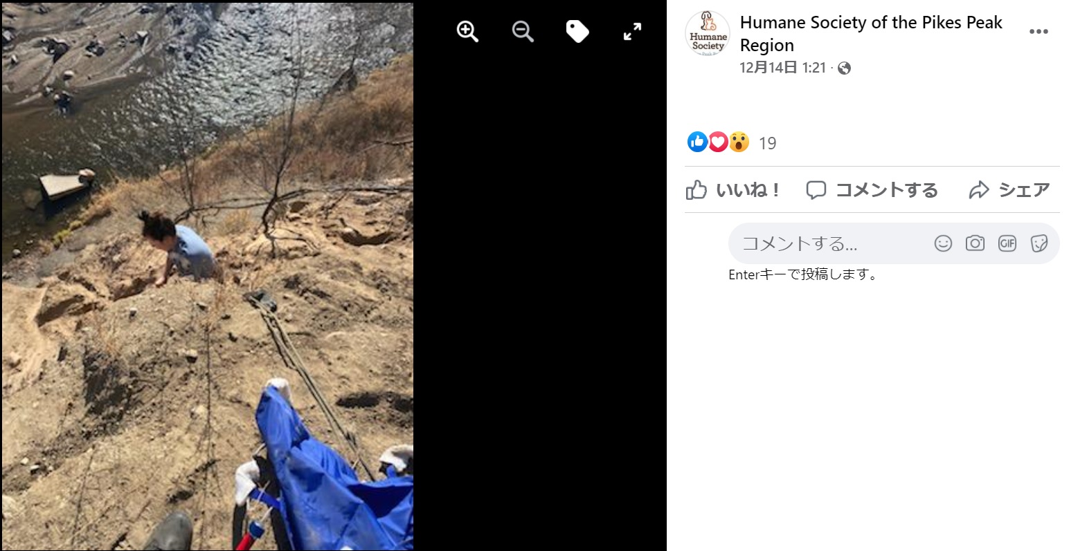 クライミング用の道具を使って救助作業を行う（画像は『Humane Society of the Pikes Peak Region　2021年12月14日付Facebook「It was a relatively routine Wednesday afternoon when our Animal Law Enforcement （ALE） team received a call about a dog stuck on a cliff overlooking Fountain Creek.」』のスクリーンショット）