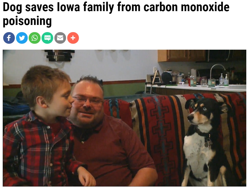 いち早くガス漏れに気付いた愛犬（画像は『FOX4KC WDAF-TV　2021年12月20日付「Dog saves Iowa family from carbon monoxide poisoning」』のスクリーンショット）