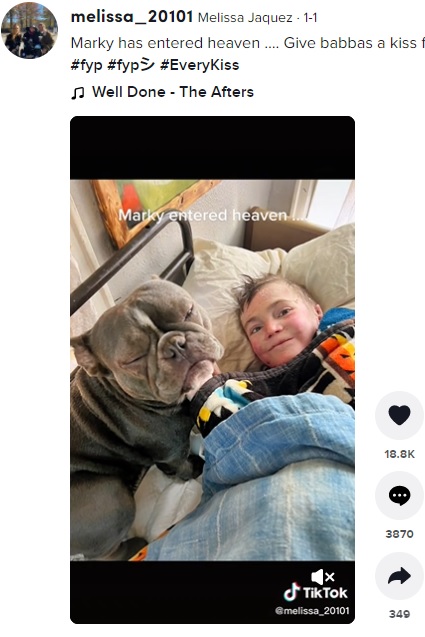 愛犬が心の拠り所だった（画像は『Melissa Jaquez　2022年1月1日付TikTok「Marky has entered heaven」』のスクリーンショット）