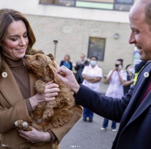 コッカプーの“アルフィー”を抱くキャサリン妃（画像は『Duke and Duchess of Cambridge　2022年1月20日付Instagram「At Clitheroe Community Hospital in Lancashire today to meet with staff who work both in the hospital and across this rural community and hear about their experience of responding to COVID-19.」』のスクリーンショット）