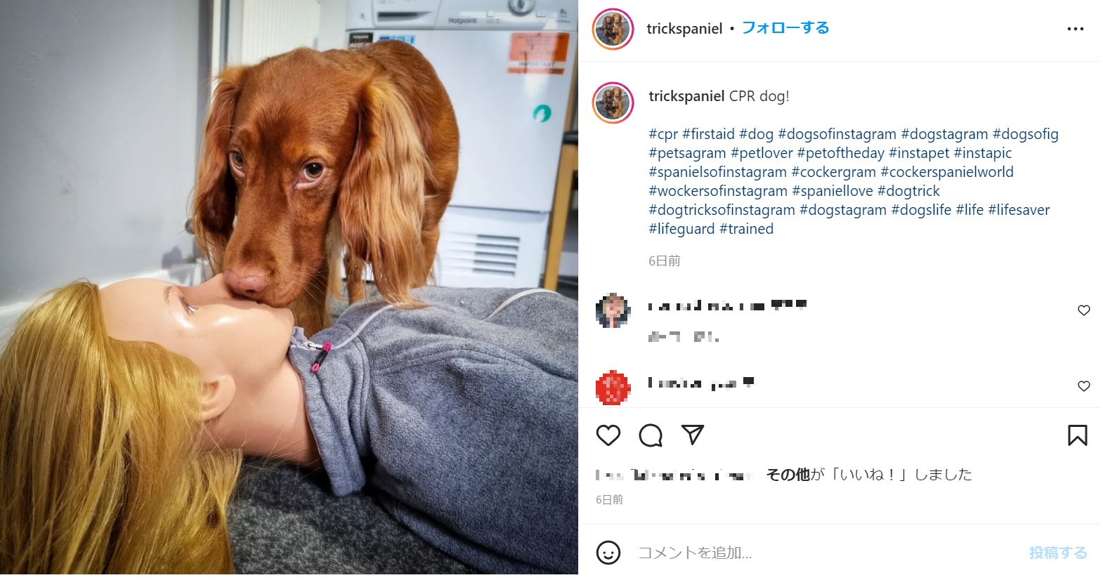 呼吸を確認するレオは真剣そのもの（画像は『Emily Anderson　2022年1月25日付Instagram「CPR dog!」』のスクリーンショット