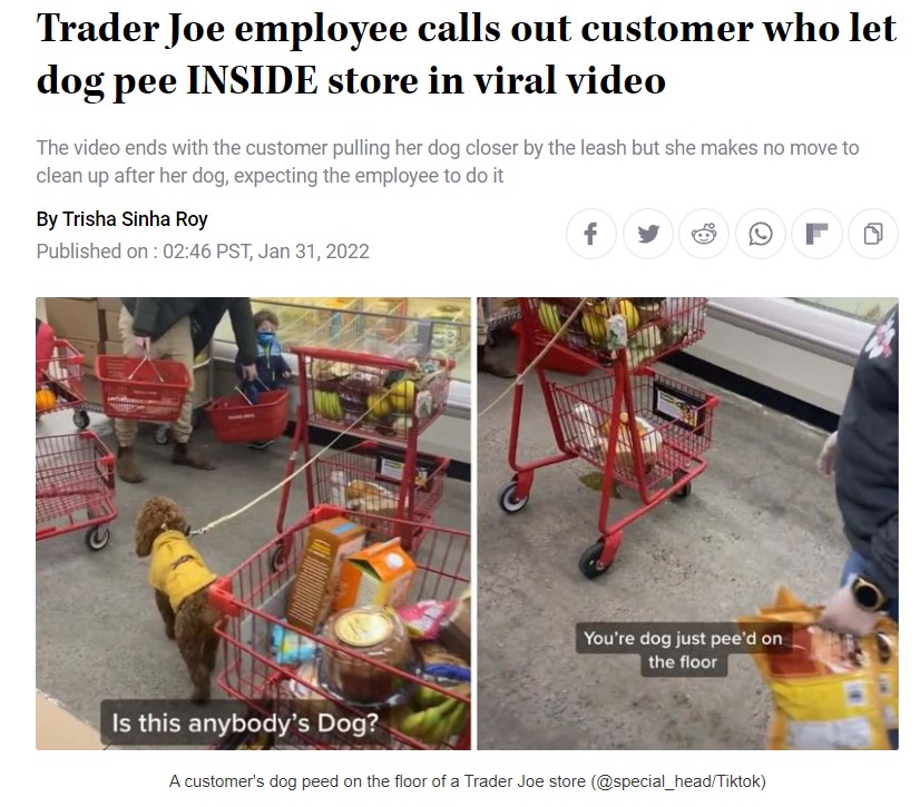 カートに繋がれた犬（画像は『MEAWW　2022年1月31日付「Trader Joe employee calls out customer who let dog pee INSIDE store in viral video」（＠special_head/Tiktok）』のスクリーンショット）
