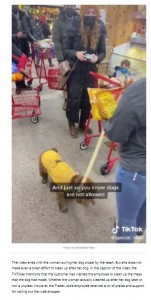 従業員に注意された女性の行動に非難の声が続出（画像は『MEAWW　2022年1月31日付「Trader Joe employee calls out customer who let dog pee INSIDE store in viral video」（Photo via TikTok/Mole Man））』のスクリーンショット）