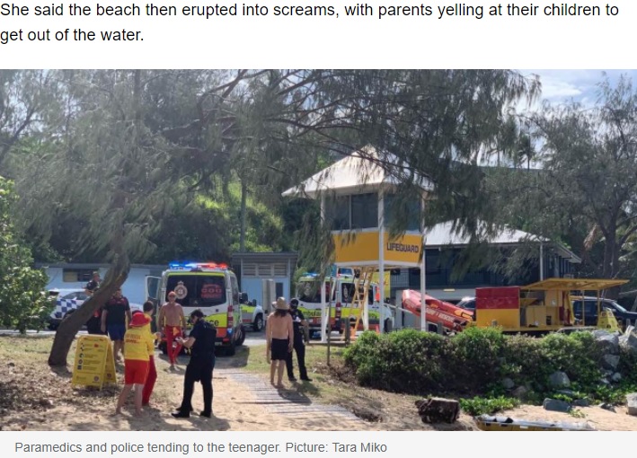 事故が起きたアイメオビーチ（画像は『news.com.au　2022年2月27日付「Teenager killed by box jellyfish sting in Mackay as locals recall horror screams」（Picture: Tara Miko）』のスクリーンショット）