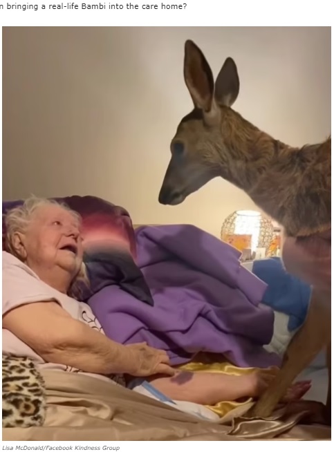 大好きな鹿と対面し笑顔を見せた母親（画像は『Good News Network　2022年2月16日付「Watch a Daughter Surprise Her Deer-Loving Dying Mom With Visit from Bambi - Her Face Says It All」（Lisa McDonald/Facebook Kindness Group）』のスクリーンショット）