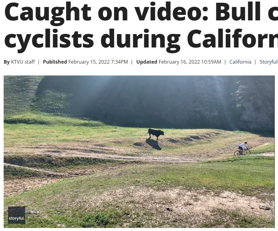 コース上に気が立った雄牛が現れる（画像は『FOX 13 Tampa Bay　2022年2月16日付「Caught on video: Bull charges cyclists during California race」（Credit: ELEVENGEAR via Storyful）』のスクリーンショット）