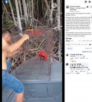 【海外発！Breaking News】赤く塗られ檻に縛られた猿の動画に怒りの声　動物保護団体が情報提供を呼びかける（マレーシア）＜動画あり＞