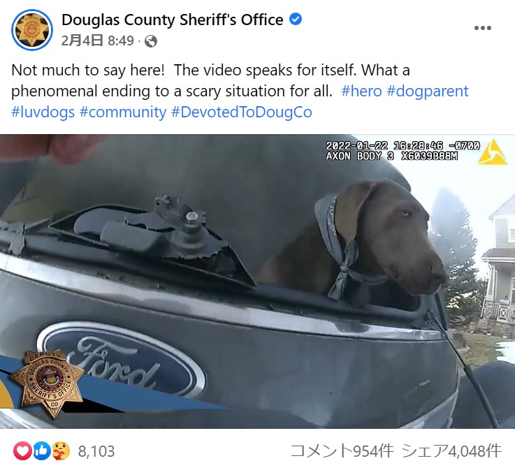 煙の充満する車内に取り残されてしまった犬（画像は『Douglas County Sheriff’s Office　2022年2月4日付Facebook「Not much to say here!」』のスクリーンショット）