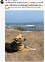 【海外発！Breaking News】浜辺に佇んでずっと海を見つめ続ける犬、その理由が切ない（ペルー）