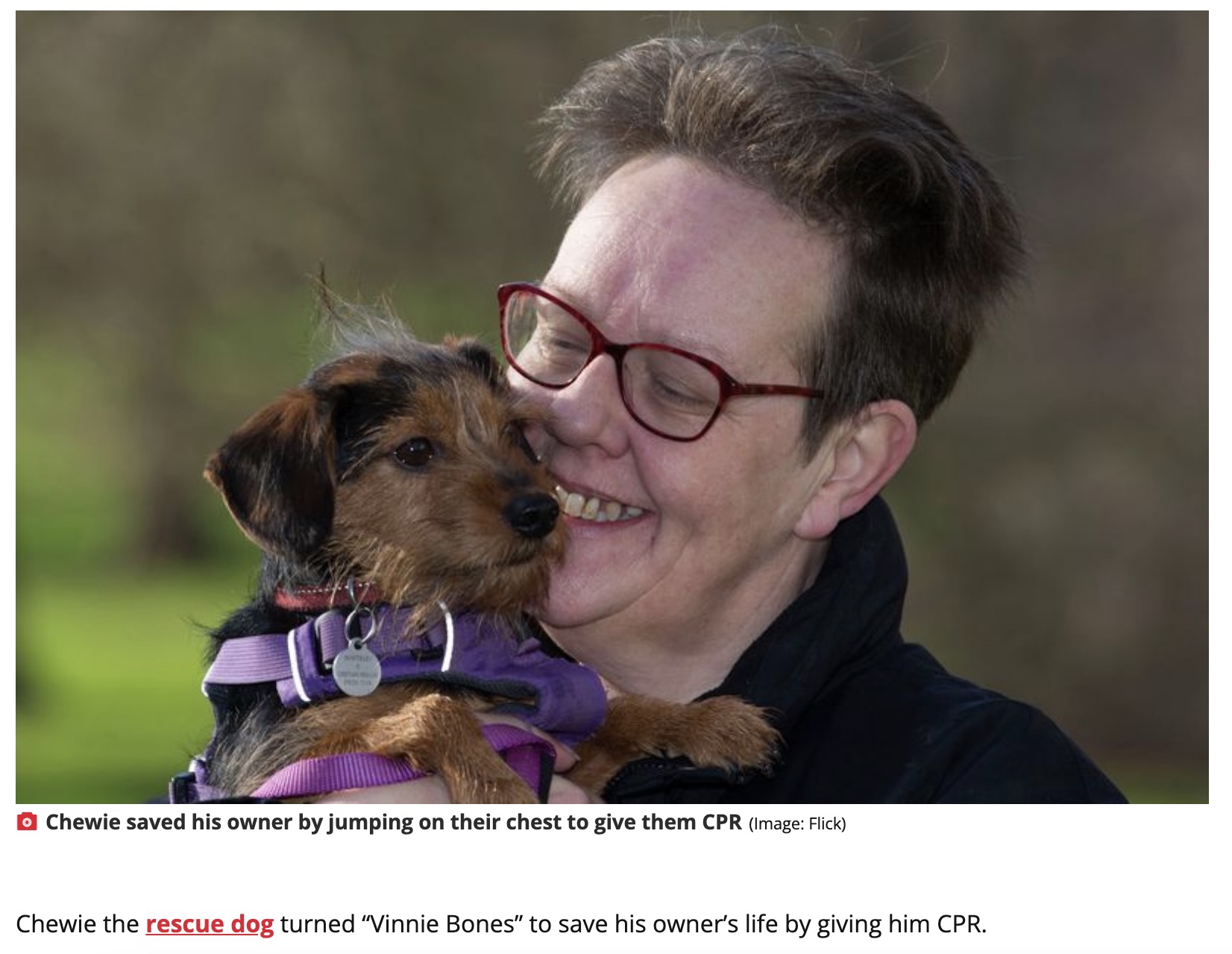 心臓発作を起こした飼い主を救った犬（画像は『The Daily Star　2022年2月23日付「Chewie the rescue dog saved his owner’s life by giving him CPR when he had a heart attack」（Image: Flick.digital）」』のスクリーンショット）