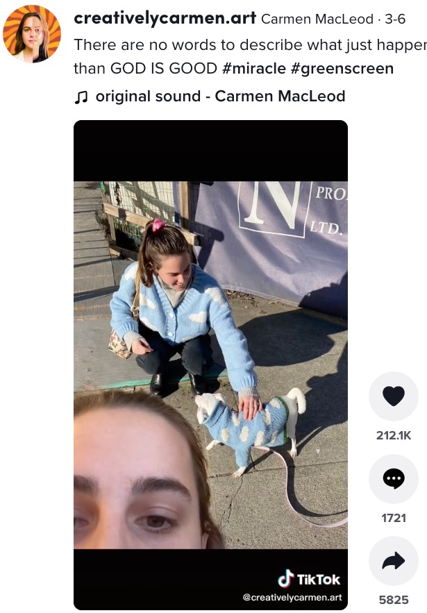 全く同じと言っていいほどそっくりのセーター（画像は『Carmen MacLeod　2022年3月6日付TikTok「There are no words to describe what just happened」』のスクリーンショット）