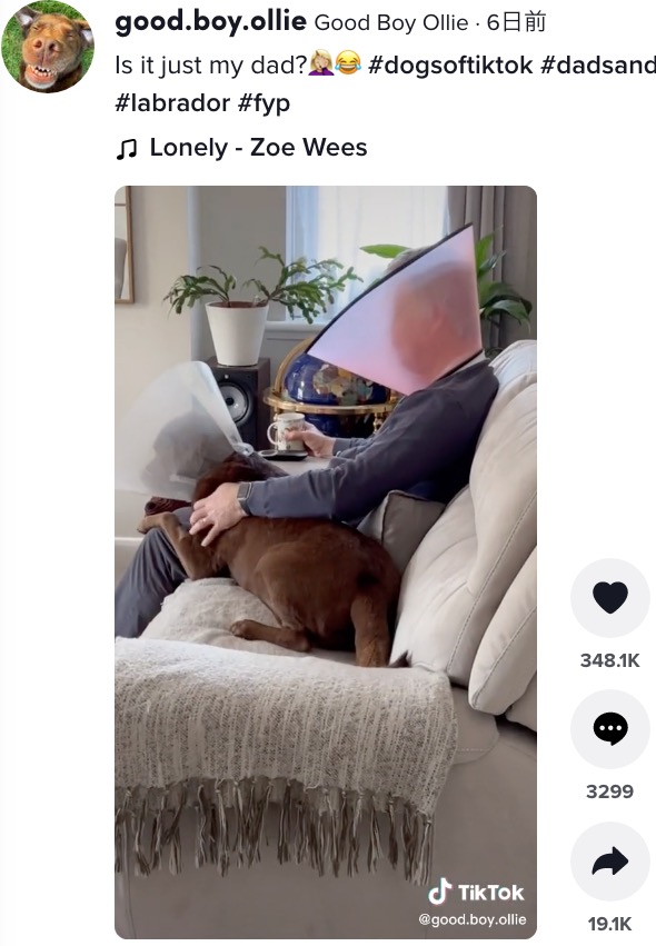 愛犬と一緒にエリザベスカラーをつけた男性（画像は『Good Boy Ollie　2022年3月22日付TikTok「Is it just my dad?」』のスクリーンショット）