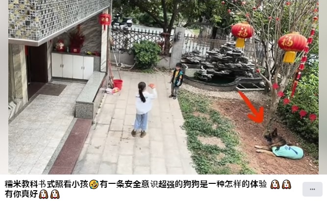 子供たち2人を見守る糯米（画像は『新闻快知　2022年3月18日付Facebook「糯米教科书式照看小孩」』のスクリーンショット）