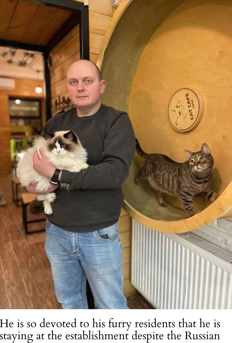 猫とともに国に残ると決心したオーナー（画像は『My Modern Met　2022年3月2日付「Devoted Ukrainian Cat Cafe Is Staying Open to Care For 20 Kitties During the War」（images via Cat Cafe Lviv）』のスクリーンショット）