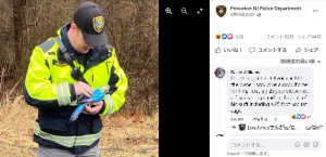 セラミック製の作り物だったことが判明（画像は『Princeton NJ Police Department　2022年3月11日付Facebook「A concerned citizen contacted our department yesterday to report a beautiful parrot in a tree in the wooded area near Einstein Drive.」』のスクリーンショット）