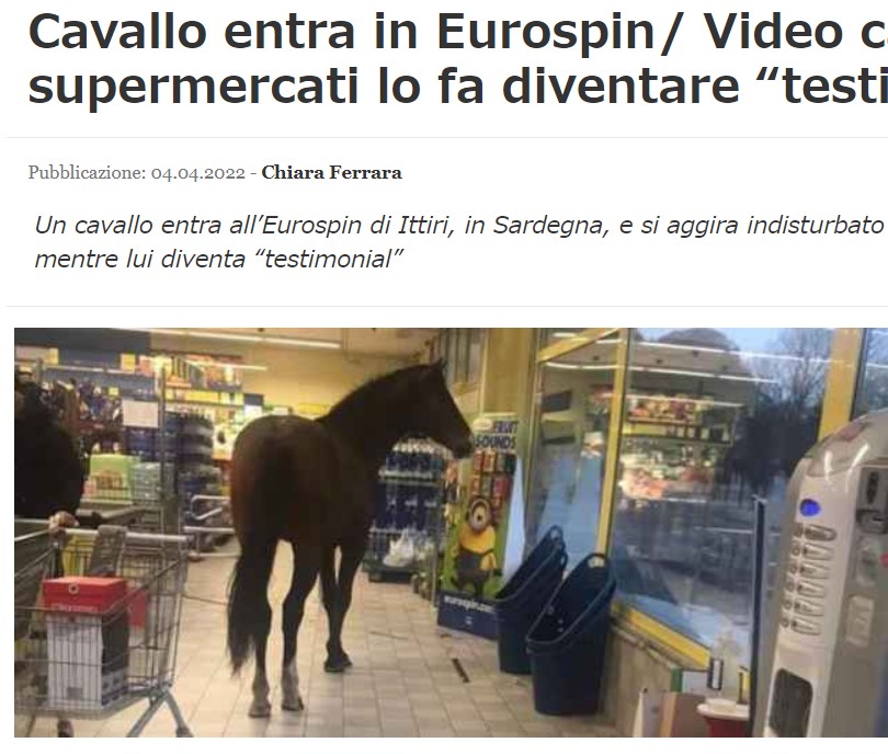 スーパーの店内に現れた馬（画像は『IlSussidiario.net　2022年4月4日付「Cavallo entra in Eurospin/ Video catena di supermercati lo fa diventare “testimonial”」』のスクリーンショット）