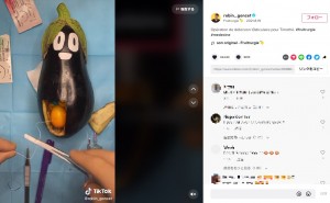 ナスを使った縫合手術の練習も（画像は『Fruitrurgie　2021年8月19日付TikTok「Opération de détorsion t3sticulaire pour Timothé.」』のスクリーンショット）