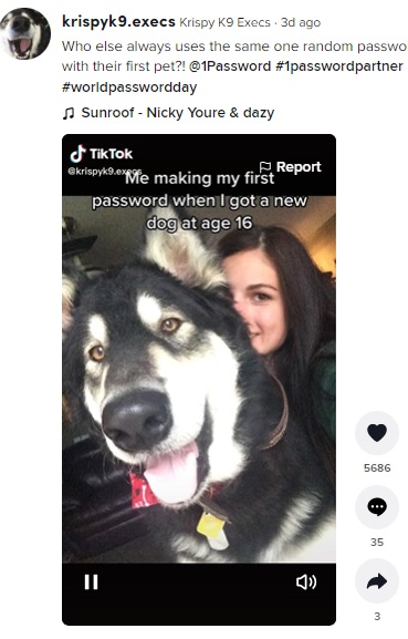 愛犬ディーゼルに癒されているというアリーさん（画像は『Krispy K9 Execs　2022年5月6日付TikTok「Who else always uses the same one random password」』のスクリーンショット）