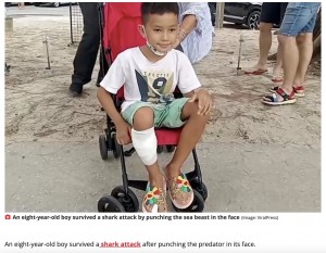 【海外発！Breaking News】ビーチでサメに襲われた8歳男児、脚を噛まれるも顔面パンチで撃退（タイ）