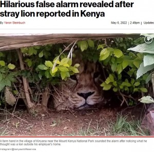 【海外発！Breaking News】「庭にライオンがいる」　通報で駆けつけた動物管理官、正体を知り唖然（ケニア）