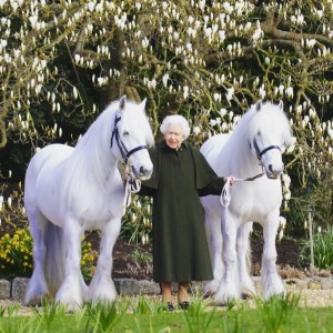 所有する2頭のポニーの間に立つエリザベス女王（画像は『The Royal Family　2022年4月20日付Instagram「Ahead of The Queen’s 96th Birthday tomorrow,」』のスクリーンショット）