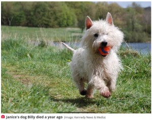 【海外発！Breaking News】愛犬の死から1年後に現れた完璧な雲　飼い主は「信じられない」と驚く（英）