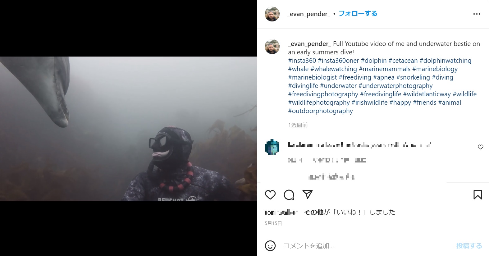 強い絆が生まれたダスティとエヴァンさん（画像は『Evan Pender　2022年5月15日付Instagram「Full Youtube video of me and underwater bestie on an early summers dive!」』のスクリーンショット）