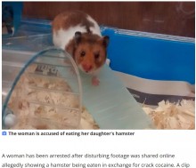 【海外発！Breaking News】ハムスターを食べた女が動物虐待の疑いで逮捕　拡散された動画に「撮っている人も最悪」と非難殺到（英）