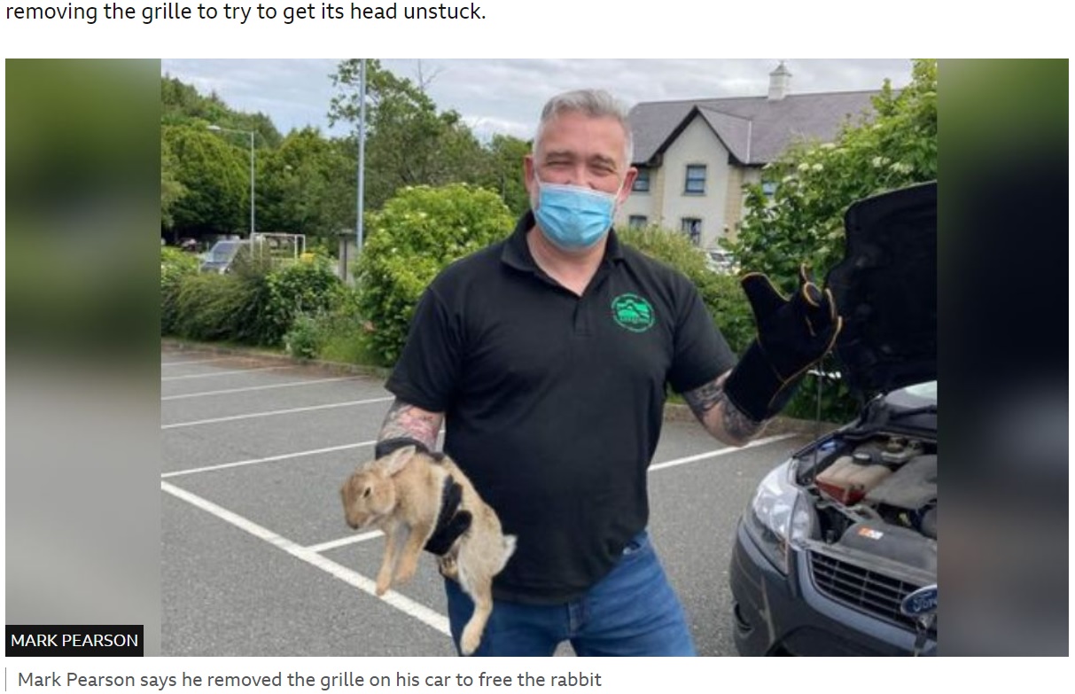 無事にウサギを助け出したマークさん（画像は『BBC　2022年6月20日付「Pwllheli: Lucky rabbit survives 40-mile ride in car grille」（MARK PEARSON）』のスクリーンショット）