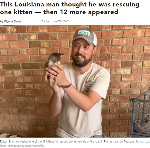 子ネコを保護したロバートさん（画像は『WFDD　2022年6月9日付「This Louisiana man thought he was rescuing one kitten ― then 12 more appeared」（Screen grab from video taken by Robert Brantley）』のスクリーンショット）