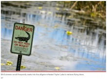 【海外発！Breaking News】ワニだらけの湖でフリスビーを拾い続けた男性、遺体がバラバラの状態で見つかる（米）