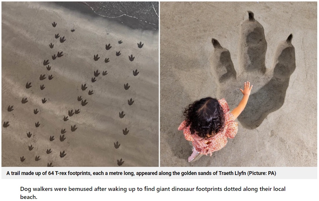 海に向かって50m続く巨大な足跡（画像は『Metro　2022年5月24日付「Trail of huge T-rex footprints appears on beach in Pembrokeshire」（Picture: PA）』のスクリーンショット）