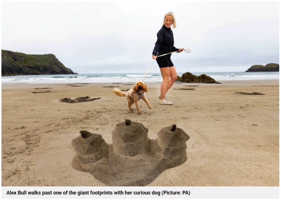 愛犬の散歩中、巨大な足跡に遭遇したアレックス・ブルさん（画像は『Metro　2022年5月24日付「Trail of huge T-rex footprints appears on beach in Pembrokeshire」（Picture: PA）』のスクリーンショット）