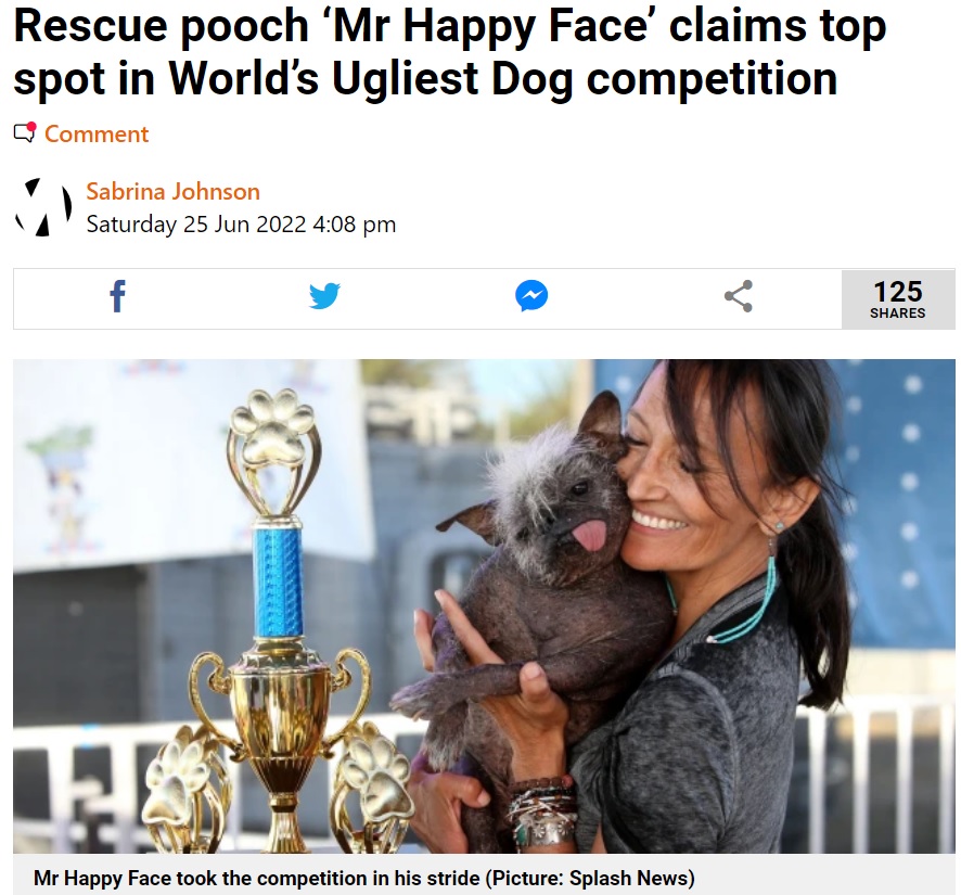 余命宣告を乗り越えてコンテストに出場した犬（画像は『Metro　2022年6月25日付「Rescue pooch ‘Mr Happy Face’ claims top spot in World’s Ugliest Dog competition」（Picture: Splash News）』のスクリーンショット）