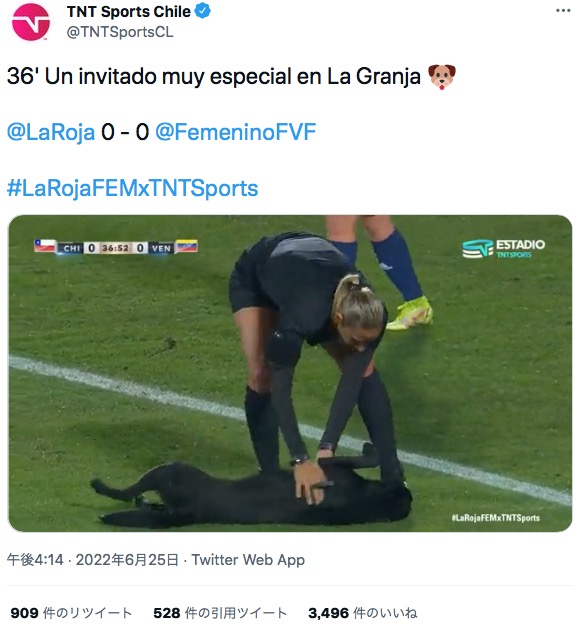選手にお腹を見せる犬（画像は『TNT Sports Chile　2022年6月25日付Twitter「36’ Un invitado muy especial en La Granja」』のスクリーンショット）