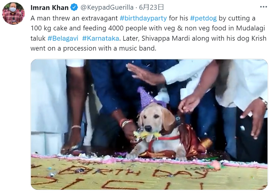 100キロの誕生日ケーキを頬張る犬（画像は『Imran Khan　2022年6月23日付Twitter「A man threw an extravagant ＃birthdayparty for his ＃petdog」』のスクリーンショット）