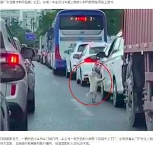 【海外発！Breaking News】渋滞する道路で犬を捨てた“無情”な飼い主と、車にすがりジャンプする犬（中国）＜動画あり＞