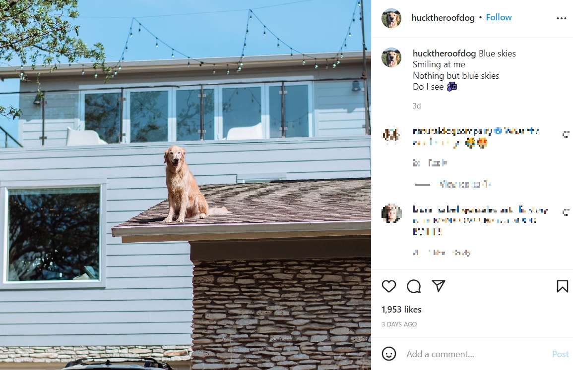 屋根の上に登り景色を楽しむのが大好きな犬（画像は『Huckleberry　2022年6月27日付Instagram「Blue skies Smiling at me」』のスクリーンショット）