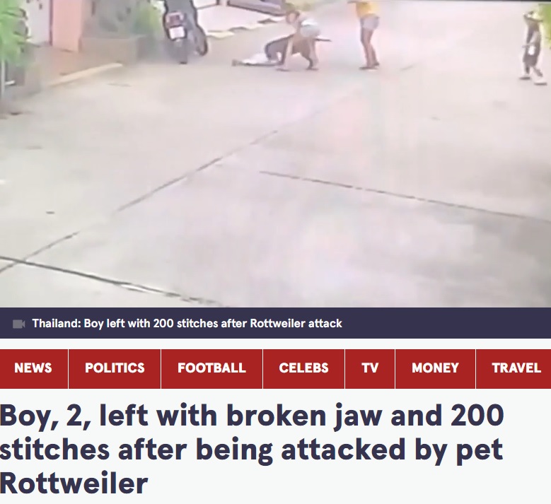 押し倒される2歳男児（画像は『The Mirror　2022年6月27日付「Boy, 2, left with broken jaw and 200 stitches after being attacked by pet Rottweiler」（Image: ViralPress）』のスクリーンショット）