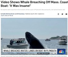 【海外発！Breaking News】クジラがボートに向かってジャンプ　巨体がぶつかり目撃者も「信じられない瞬間だった」（米）＜動画あり＞