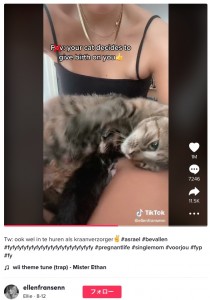 膝から降りようとしない猫（画像は『Ellie　2022年8月12日付TikTok「Tw: ook wel in te huren als kraanverzorger」』のスクリーンショット）