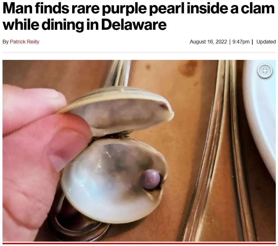 貝殻には真珠が入っていたとみられる窪みがあった（画像は『New York Post　2022年8月16日付「Man finds rare purple pearl inside a clam while dining in Delaware」（Scott Overland）』のスクリーンショット）