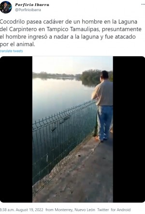【海外発！Breaking News】遊泳禁止の湖で、男性の遺体をくわえて泳ぐワニが捉えられる（メキシコ）