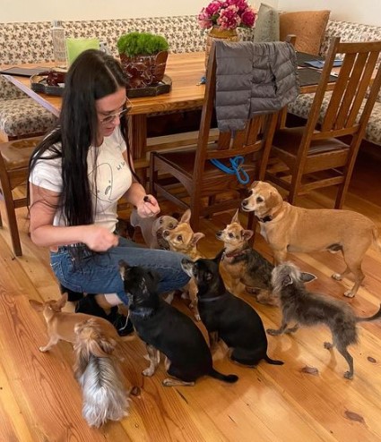 9匹の小型犬の面倒を見るデミ（画像は『Demi Moore　2021年5月20日付Instagram「Tonight’s dinner guests!」』のスクリーンショット）