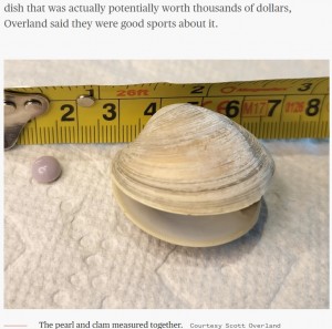 ラベンダーのようなパステルカラーをした真珠（画像は『TODAY　2022年8月17日付「Man discovers rare purple pearl in clam appetizer at Delaware restaurant」（Courtesy Scott Overland）』のスクリーンショット）